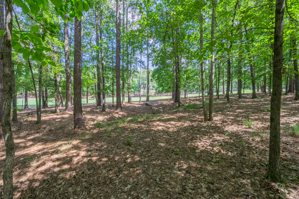 2721 Parrott's Pointe Road image 7